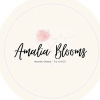 Amalia Blooms